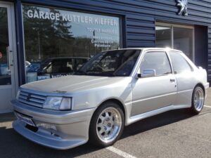 PEUGEOT 309 GTI16 DIMMA